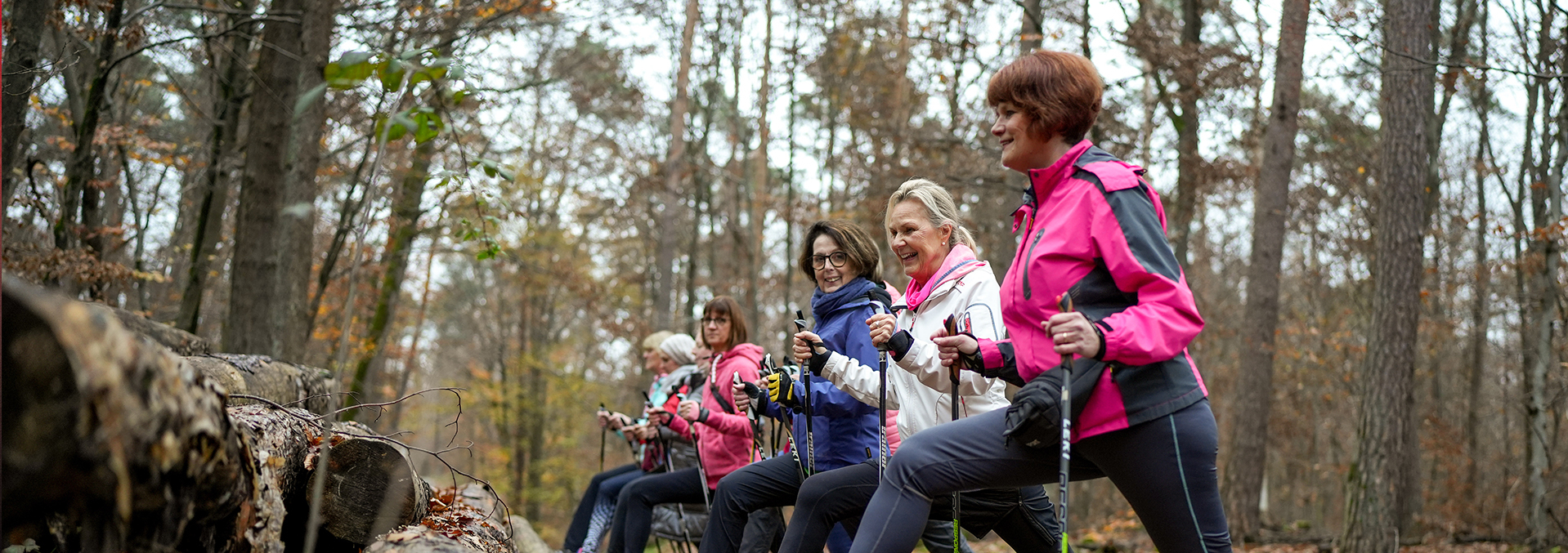 Mehrere Frauen stützen sich mit Walking-Stöcken auf einen Baumstamm.