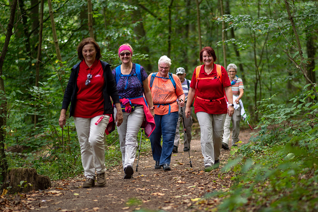 Frauen laufen im Wald.