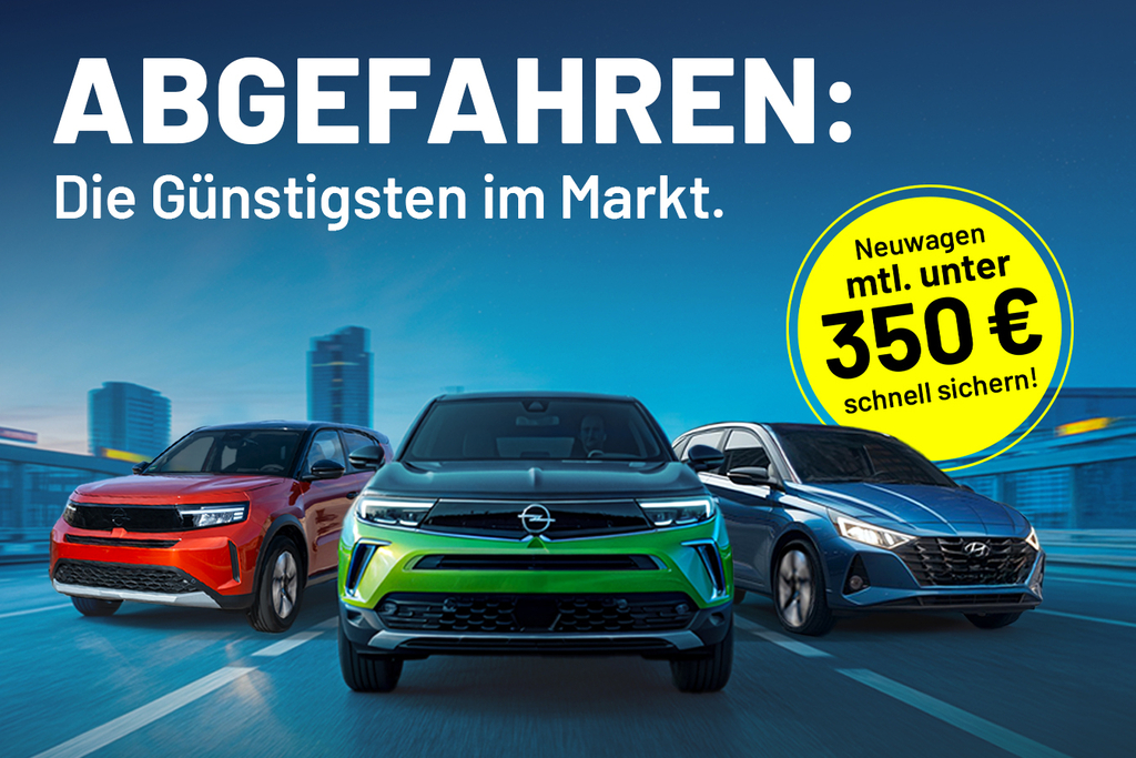 Grafik zum Angebot von ASS.