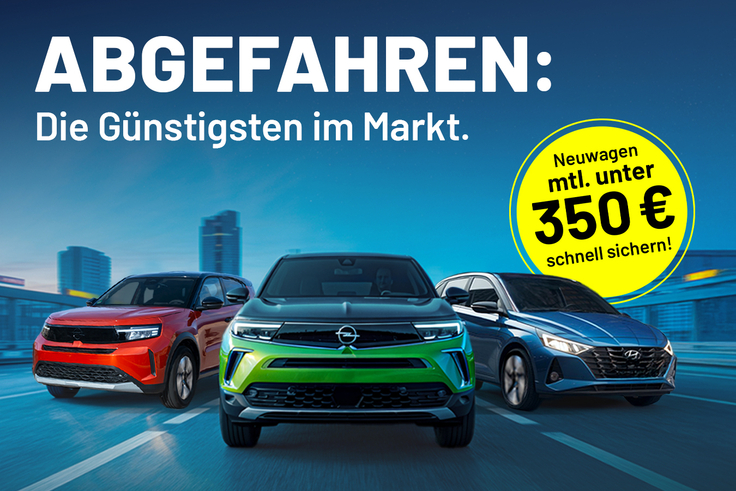 Grafik zum Angebot von ASS.