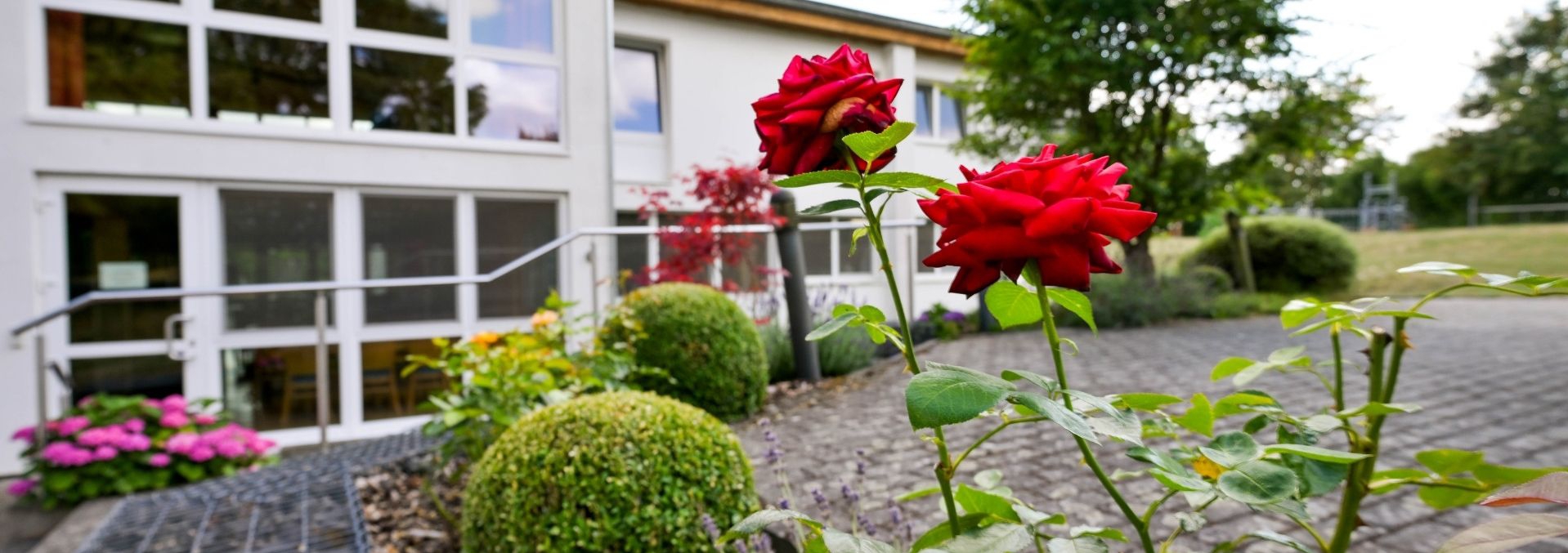 Eine Gebäude von hinten durch eine Blume fotografiert.