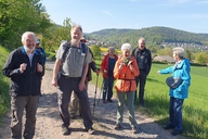 Mehrere Personen wandern im Grünen.