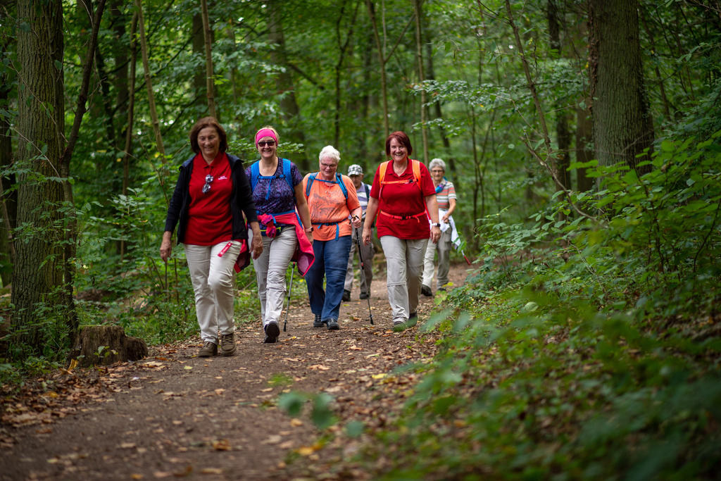 Eine Gruppe von Frauen wandert gemeinsam durch den Wald.