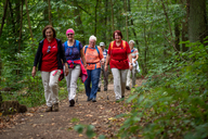 Eine Gruppe von Frauen wandert gemeinsam durch den Wald.