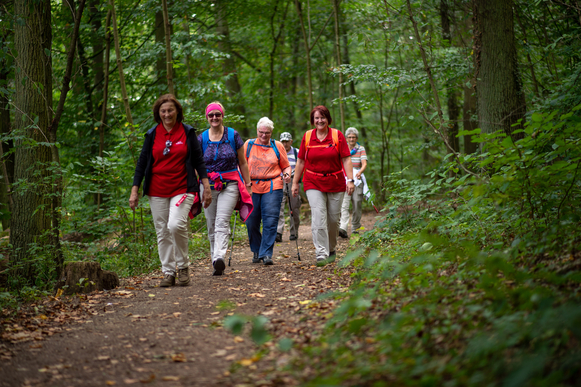 Eine Gruppe von Frauen wandert durch den Wald.