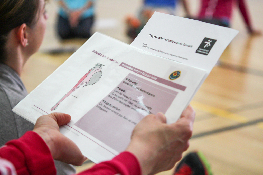 Eine Person liest ein Arbeitsblatt zum Thema Sport.