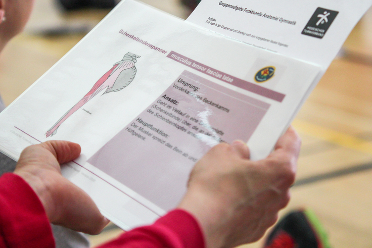 Eine Person liest ein Arbeitsblatt zum Thema Sport.