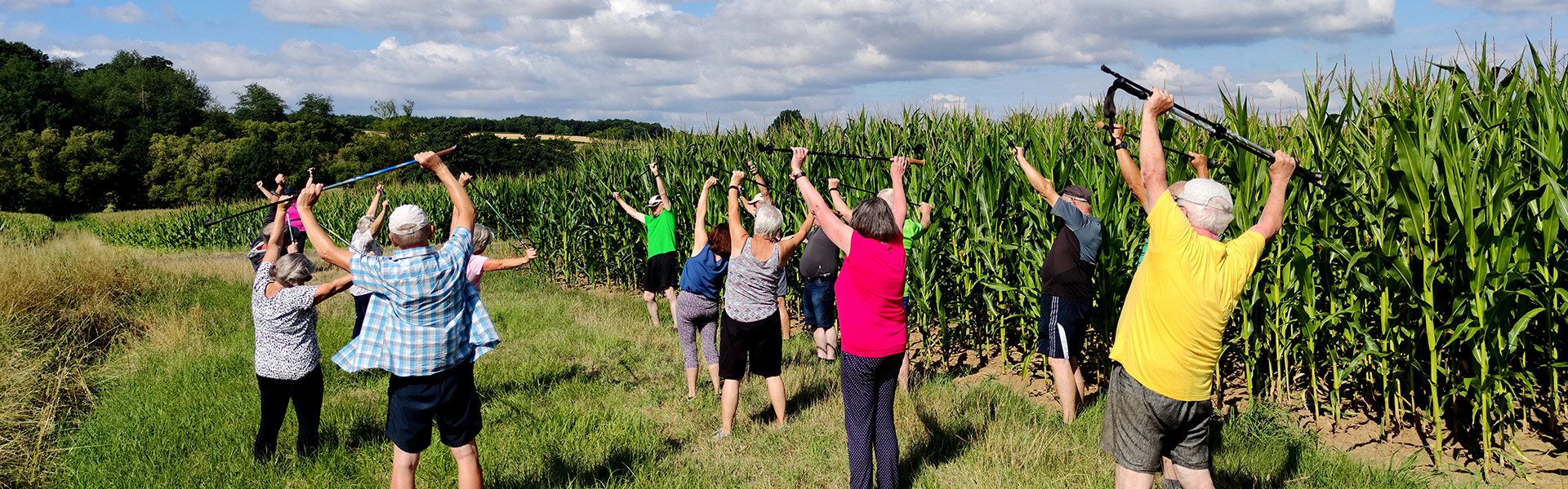 Eine Gruppe von älteren Personen macht gemeinsam Gymnastik mit Stöcken in der Natur.
