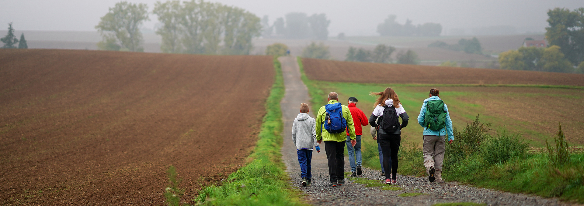 Mehrere Personen wandern entlang eines Feldwegs.