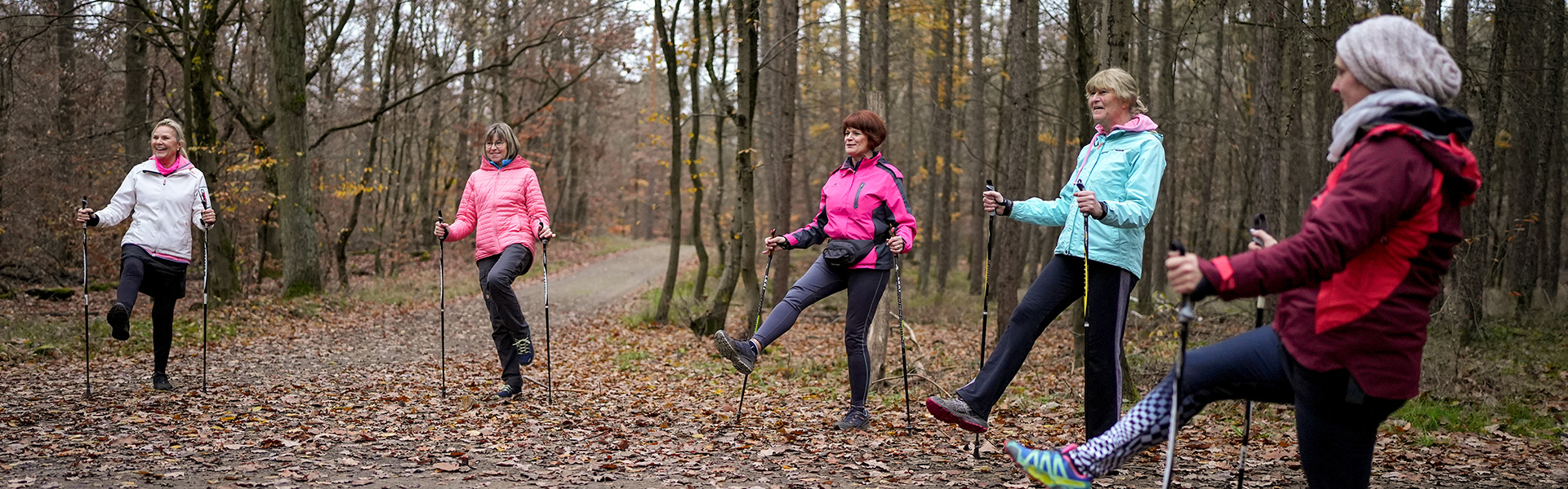 Fünf Personen machen Sport im Wald.